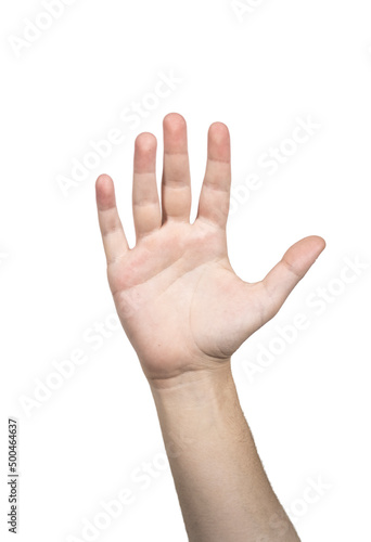 hand isolated on white background