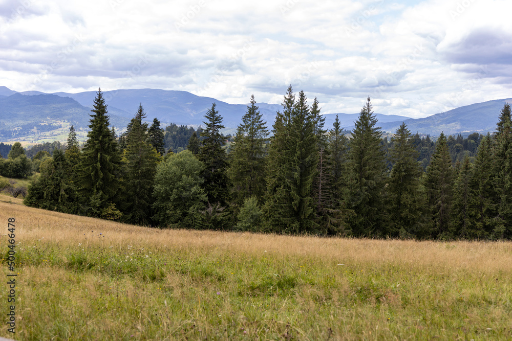Panorama of mountains in the Ukrainian Carpathians on a summer day. Panorama of mountains in the Ukrainian Carpathians on a summer day.