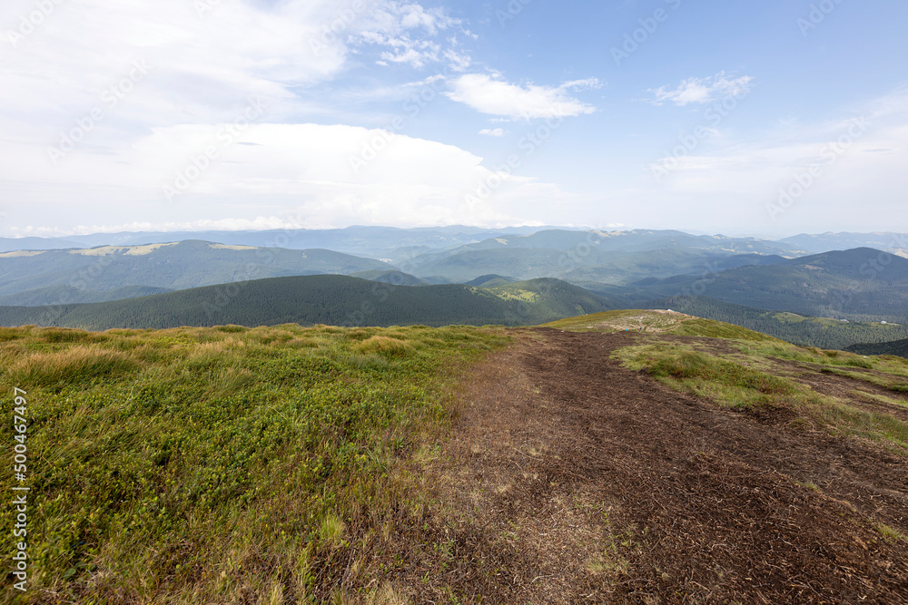Fototapeta premium Panorama of mountains in the Ukrainian Carpathians on a summer day.