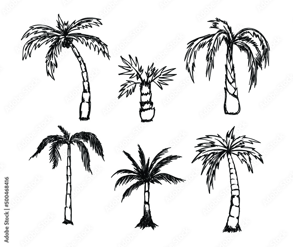 Grunge palm coconut tree scribble