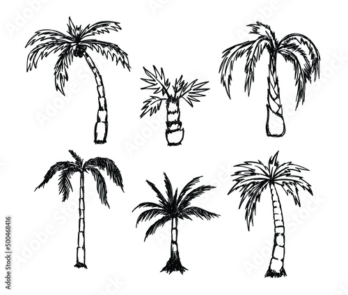 Grunge palm coconut tree scribble