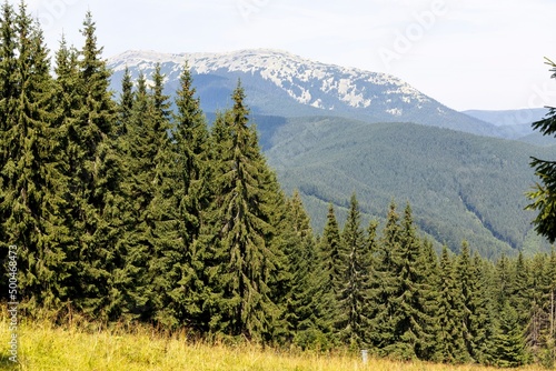 Panorama of mountains in the Ukrainian Carpathians on a summer day.