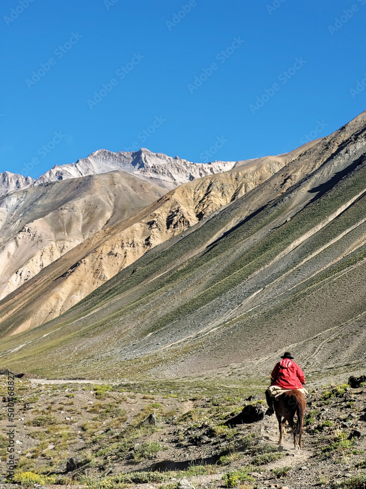 Horse ride Adventure in Andes Mountain 