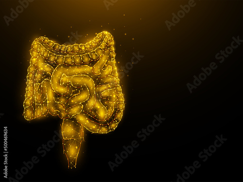 Abstraction polygonal illustration of the intestines on a dark background. Digestive system, internal organ low poly design. Medical banner, template or background.