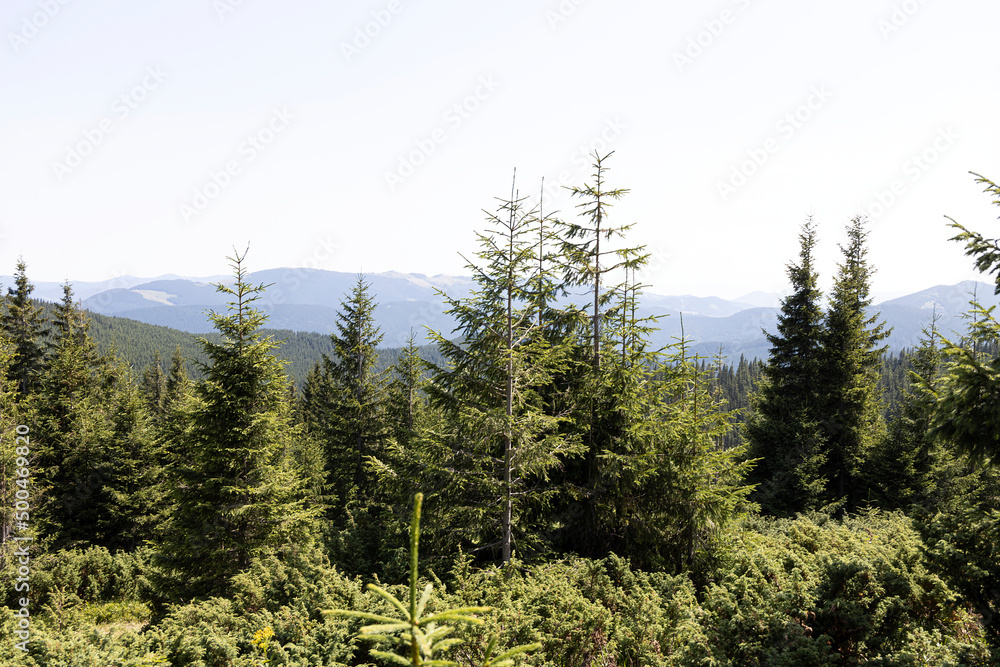 Mountain landscape in Ukrainian Carpathians in summer. Mountain landscape in Ukrainian Carpathians in summer.