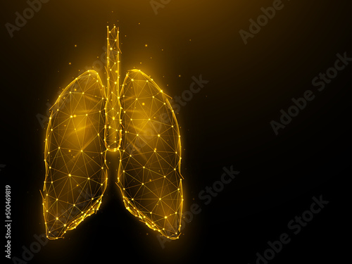 Abstraction polygonal illustration of human lungs on a dark background. Human respiratory organs low poly design. Medical banner, template or background.