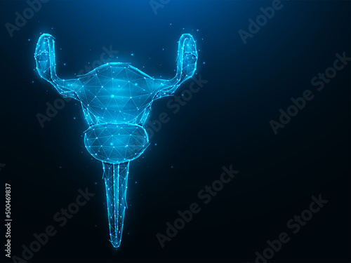 Abstract polygonal uterus vector illustration on dark blue background. Female reproductive organ low poly design. Medical banner, template or background.