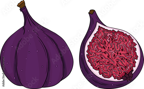 Vector set of colorful figs. Fruit product emblem for juice or jam label, packaging sticker, grocery shop tag, farm store. Fresh cartoon fig isolated on white background. 
