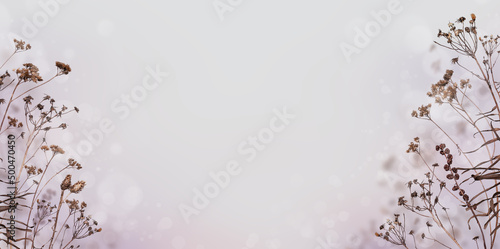 Flowers on soft pastel color on blur style background