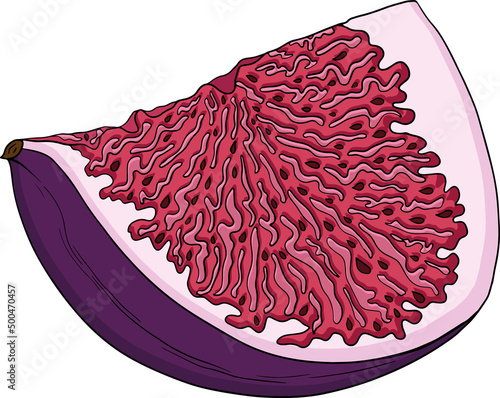 Vector set of colorful figs. Fruit product emblem for juice or jam label, packaging sticker, grocery shop tag, farm store. Fresh cartoon fig isolated on white background. 