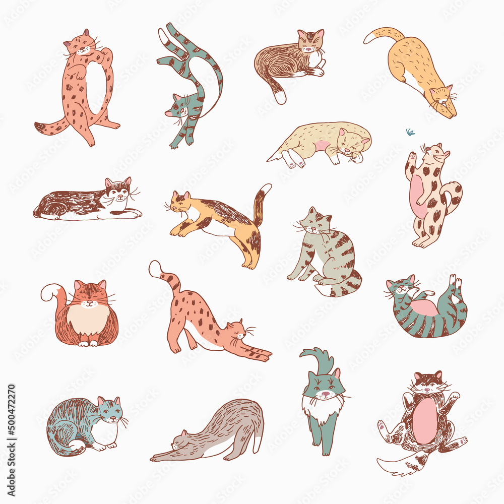 Cats animals vector illustrations set Cats animals vector illustrations set