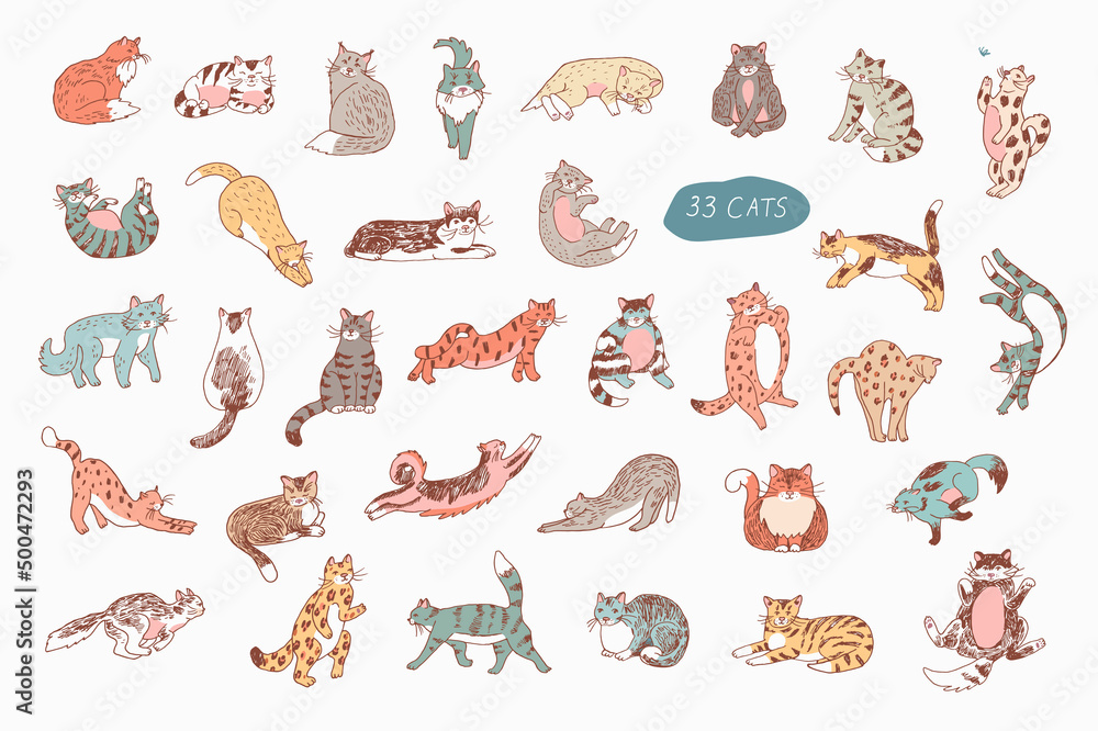 Cats animals vector illustrations set