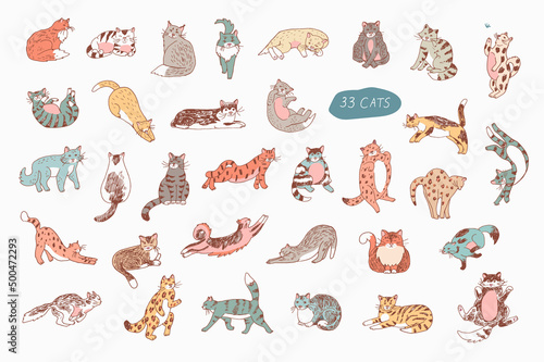 Fototapeta Naklejka Na Ścianę i Meble -  Cats animals vector illustrations set