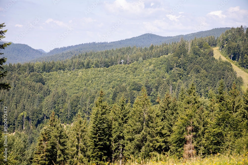 Panorama of mountains in the Ukrainian Carpathians on a summer day.