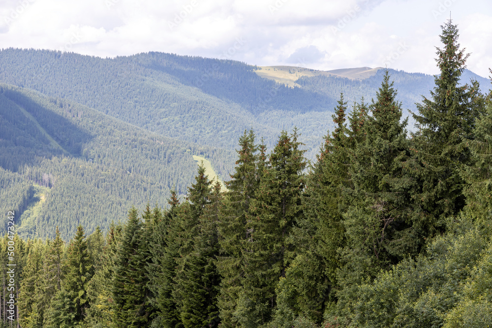 Panorama of mountains in the Ukrainian Carpathians on a summer sunny day.