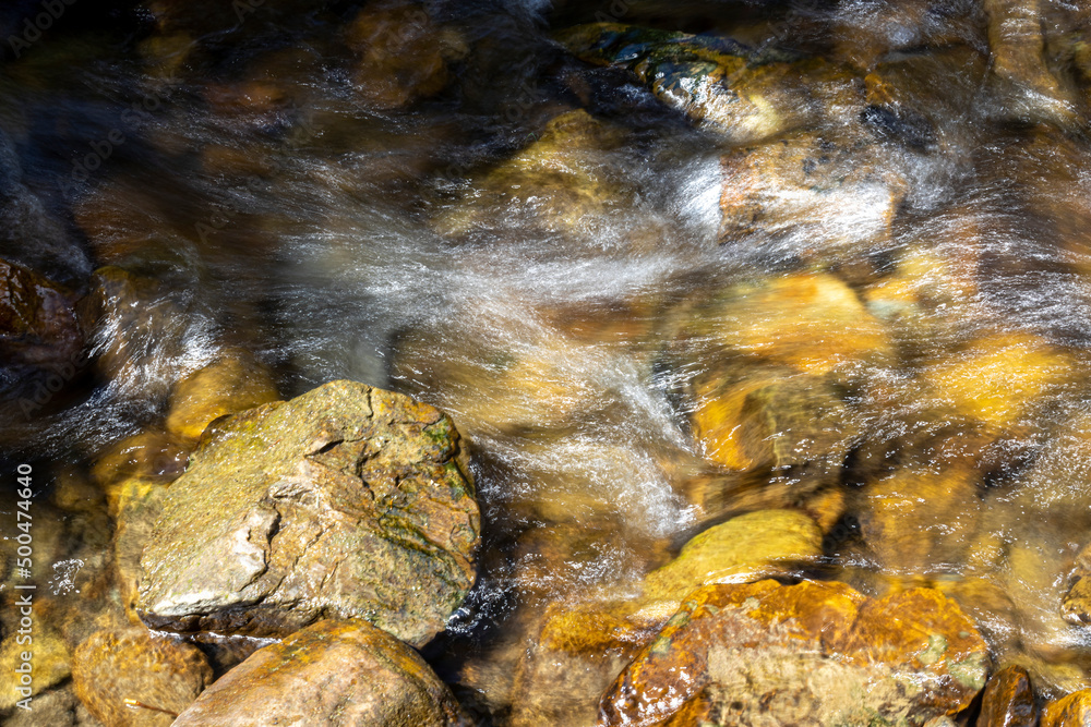 Obraz premium Mountain stream on a summer day in the Ukrainian Carpathians