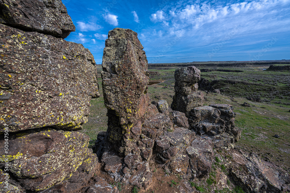 Landscape in the Columbia National Wildlife Refuge, WA Landscape in the Columbia National Wildlife Refuge, WA