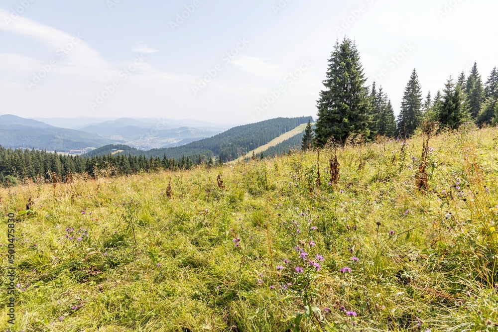Panorama of mountains in the Ukrainian Carpathians on a summer day.