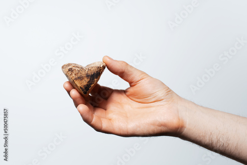 Close-up of male hand holding wooden object in shape of heart, on white.