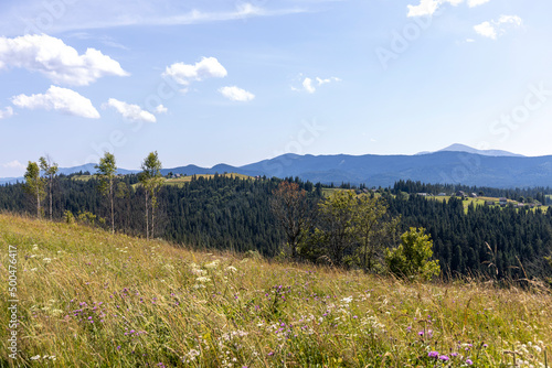 Mountain landscape in Ukrainian Carpathians in summer.