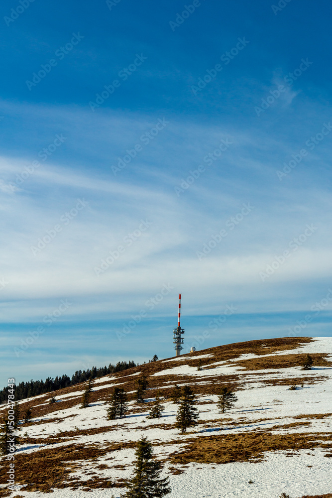 Obraz premium Entdeckungstour auf dem Feldberg im Schwarzwald - Baden-Württemberg - Deutschland