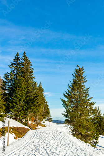 Entdeckungstour auf dem Feldberg im Schwarzwald - Baden-Württemberg - Deutschland photo