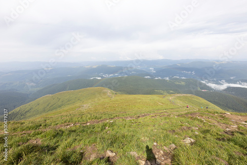 Wallpaper Mural Panorama of mountains in the Ukrainian Carpathians on a summer day. Torontodigital.ca