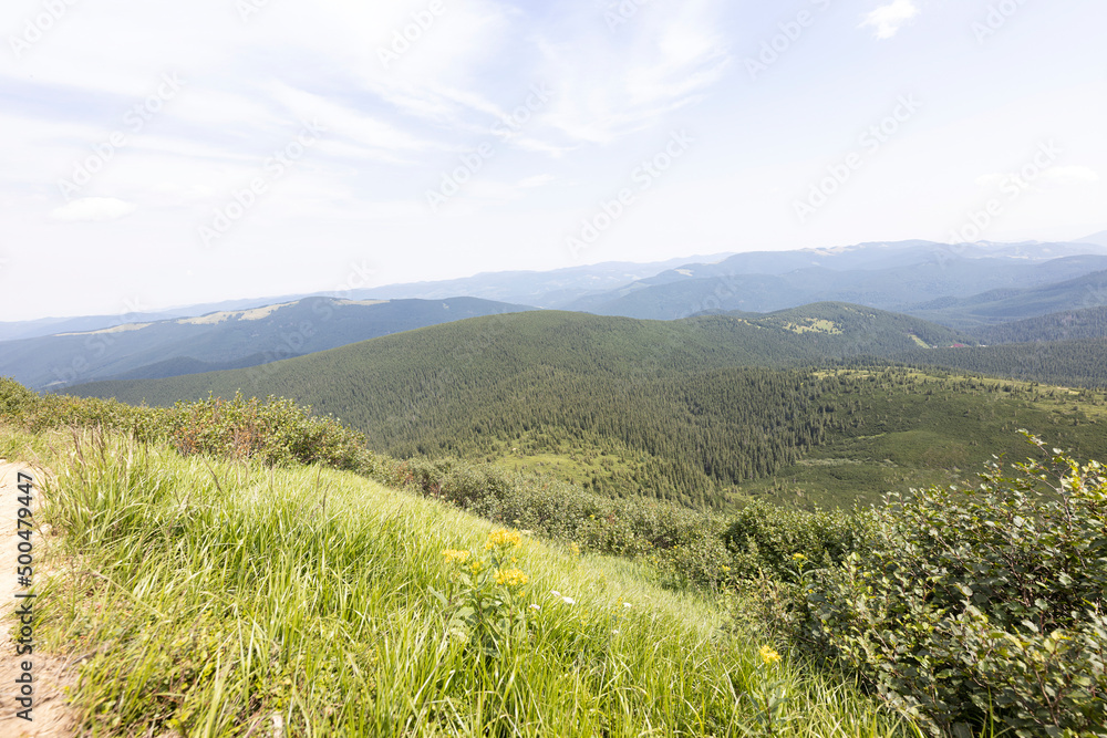 Fototapeta premium Mountain landscape in Ukrainian Carpathians in summer.