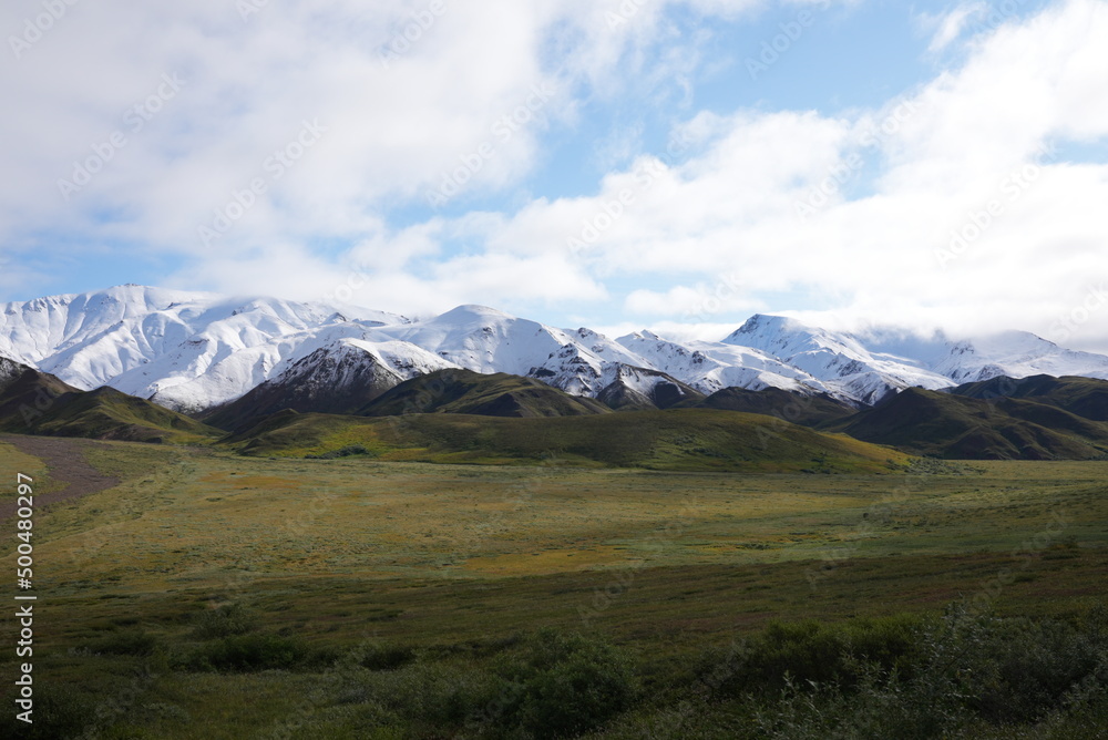 Fototapeta premium Denali, Alaska Mountains
