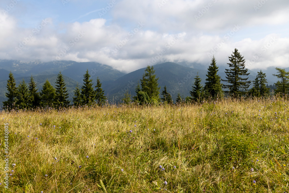 Panorama of mountains in the Ukrainian Carpathians on a summer day. Panorama of mountains in the Ukrainian Carpathians on a summer day.