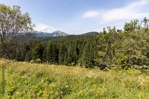 Mountain landscape in Ukrainian Carpathians in summer. © Sergey