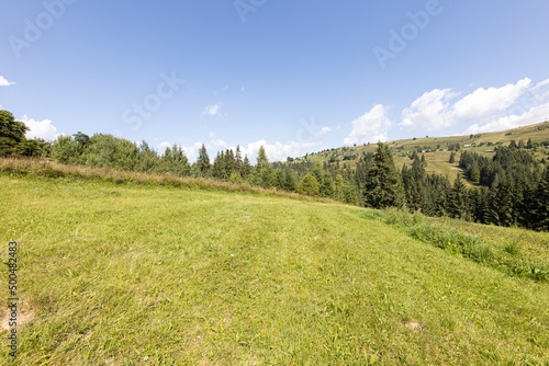 Green mountain meadows in the Ukrainian Carpathians