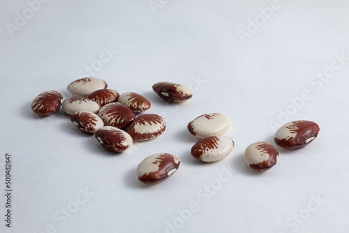 Handful of raw fava beans in white, brown and red colors scattered on white background. Nutritious and healthy food