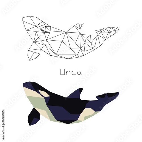 Polygonal drawing of killer whale