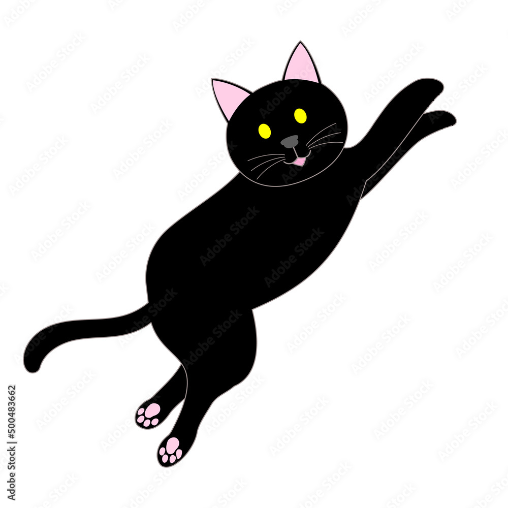 jumping black cat with white background