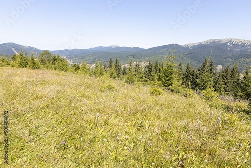 Mountain landscape in Ukrainian Carpathians in summer. © Sergey