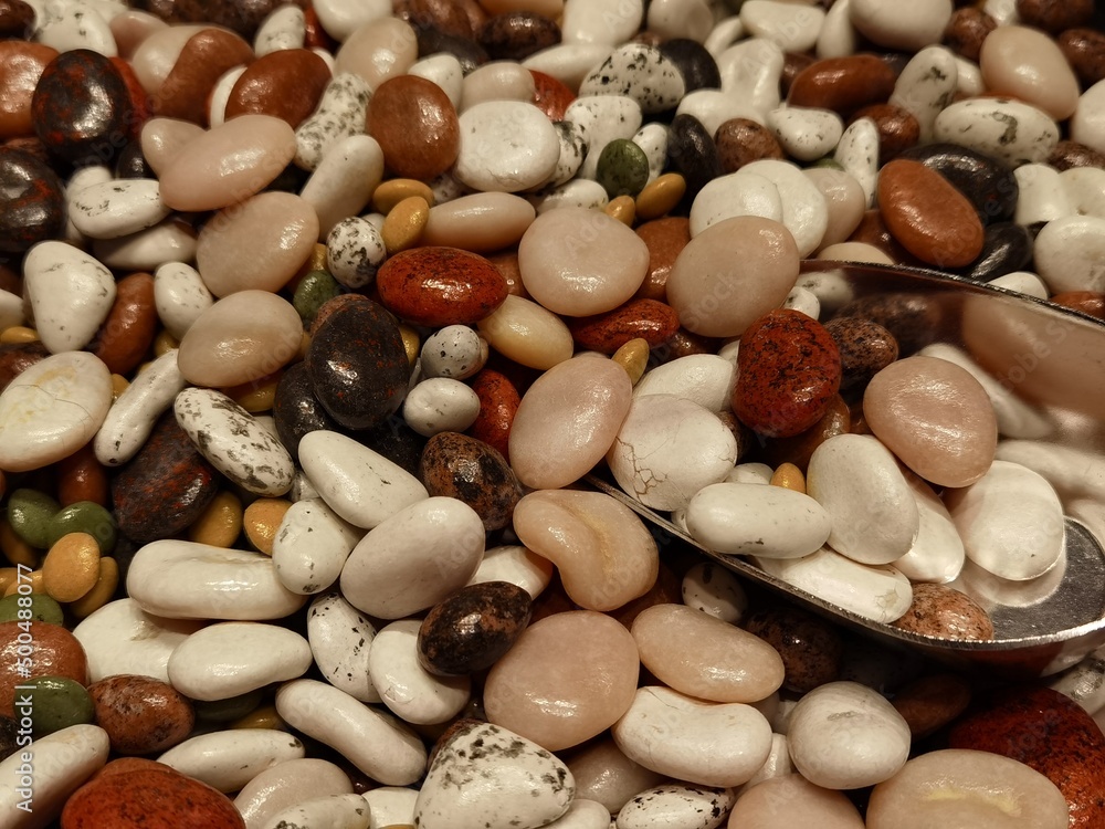Chocolates in bean shape and white chocolate Chocolates in bean shape and white chocolate
