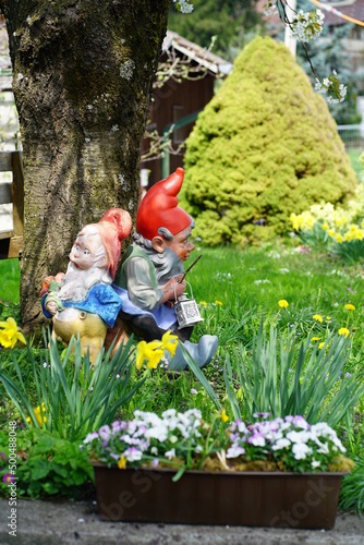 Two gnomes in the garden in spring, Switzerland