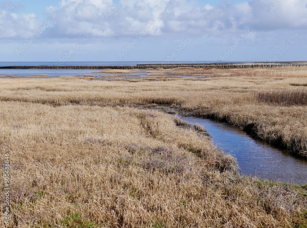 Bach fließt durchs Feld an der Nordseeküste