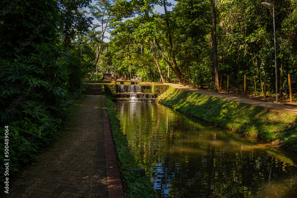Detalhe do Bosque dos Buritis. Um parque público na cidade de Goiânia em Goiás. Detalhe do Bosque dos Buritis. Um parque público na cidade de Goiânia em Goiás.