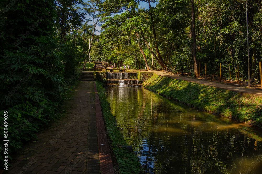 Detalhe do Bosque dos Buritis. Um parque público na cidade de Goiânia em Goiás.