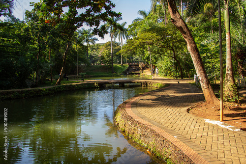 Detalhe do Bosque dos Buritis. Um parque público na cidade de Goiânia em Goiás.