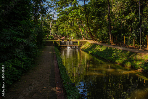 Detalhe do Bosque dos Buritis. Um parque público na cidade de Goiânia em Goiás.