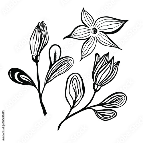 Abstract flowers made in ink graphics