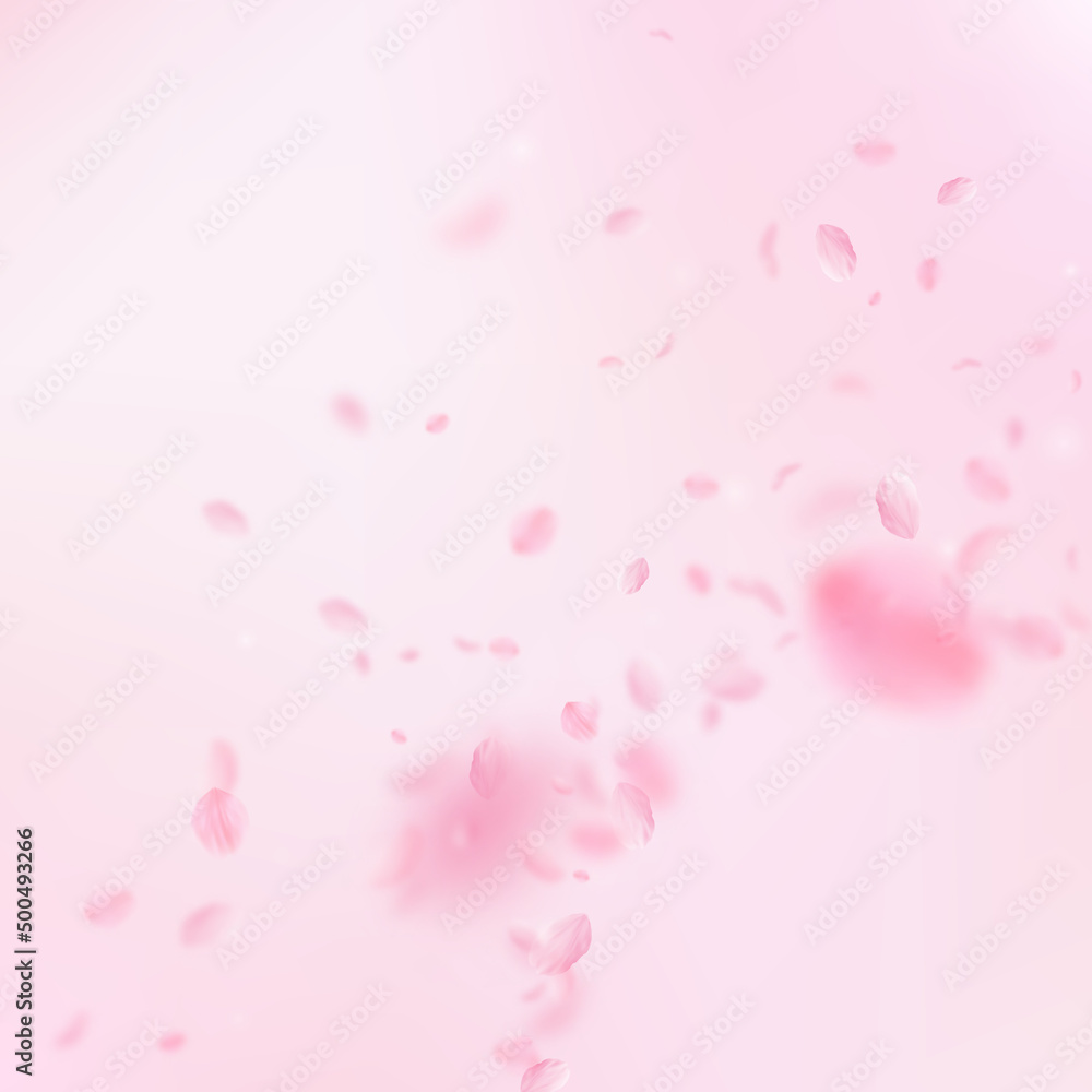 Sakura petals falling down. Romantic pink flowers corner. Flying petals on pink square background. Love, romance concept. Amusing wedding invitation.