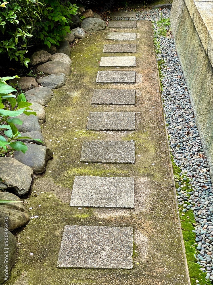 小道 小道