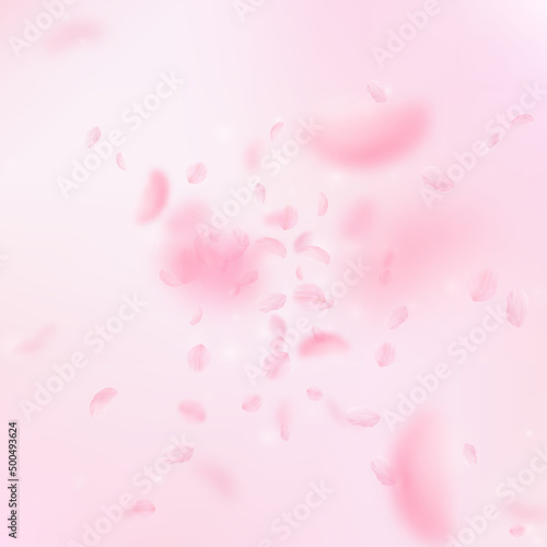 Sakura petals falling down. Romantic pink flowers explosion. Flying petals on pink square background. Love, romance concept. Extraordinary wedding invitation.