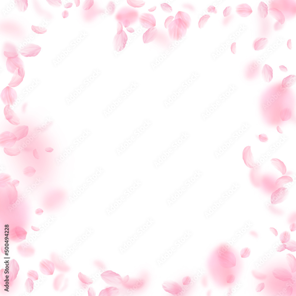 Sakura petals falling down. Romantic pink flowers frame. Flying petals on white square background. Love, romance concept. Posh wedding invitation.