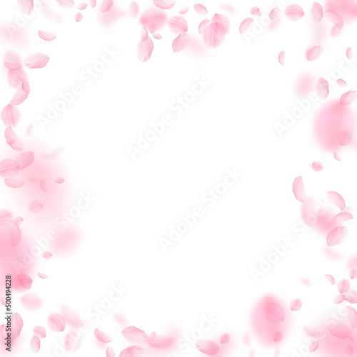 Fototapeta Naklejka Na Ścianę i Meble -  Sakura petals falling down. Romantic pink flowers frame. Flying petals on white square background. Love, romance concept. Posh wedding invitation.