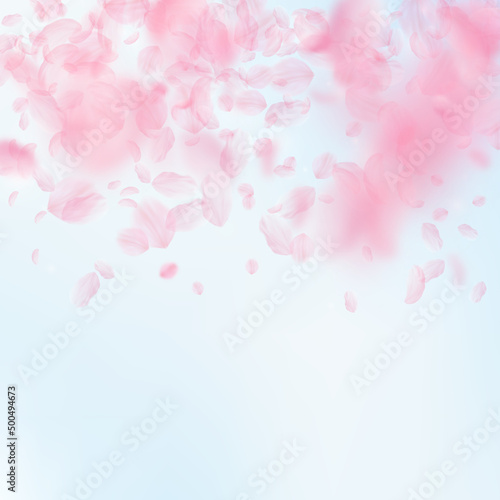 Sakura petals falling down. Romantic pink flowers gradient. Flying petals on blue sky square background. Love, romance concept. Original wedding invitation.